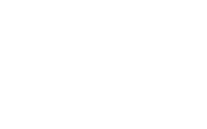 Næringsforeningen logo