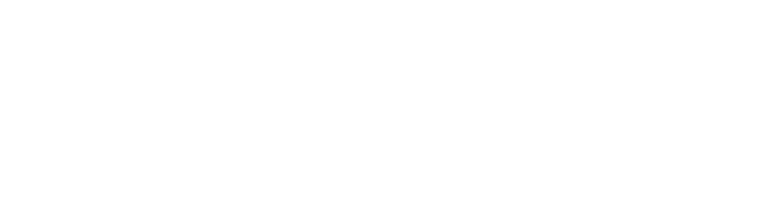 NHO logo