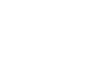 SinPro logo