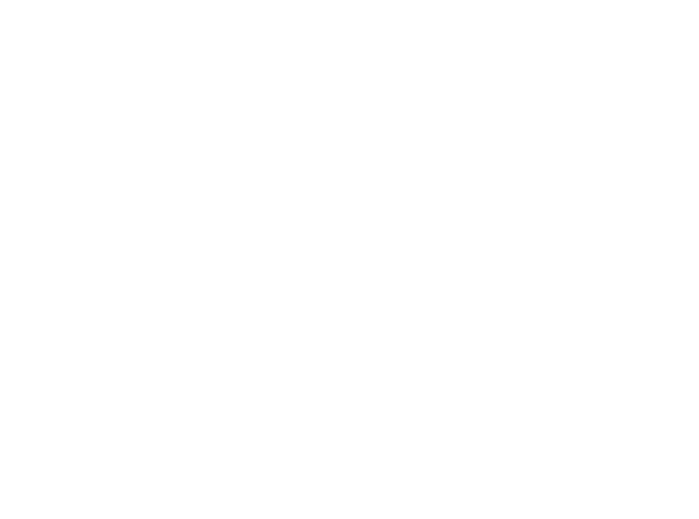 SinPro logo